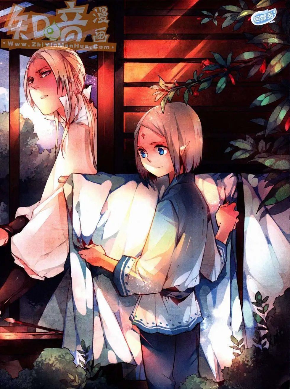 第221期