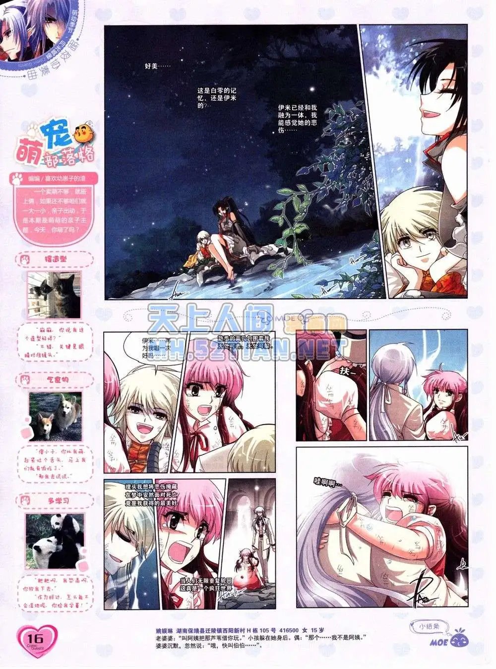 第232期全本