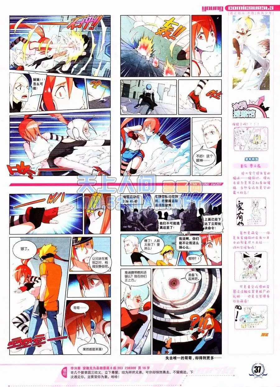 第237期全本