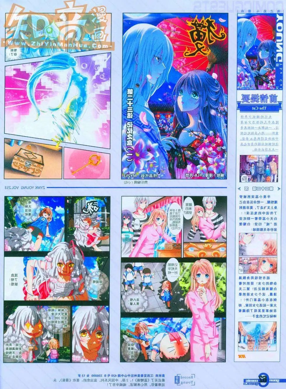 253期