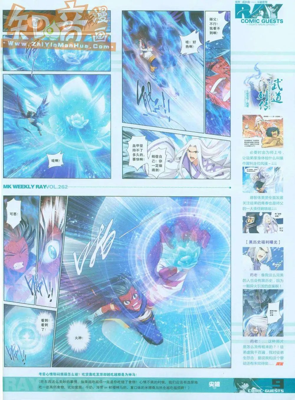 262期