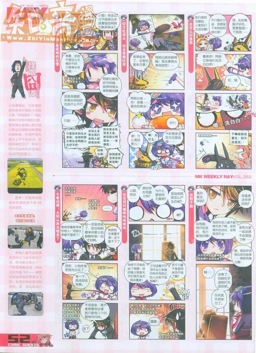 262期