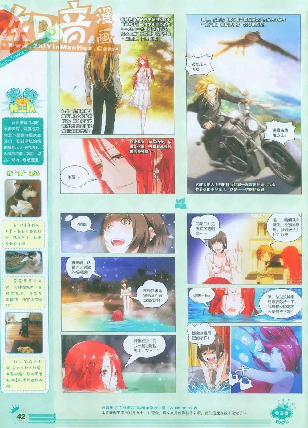 264期