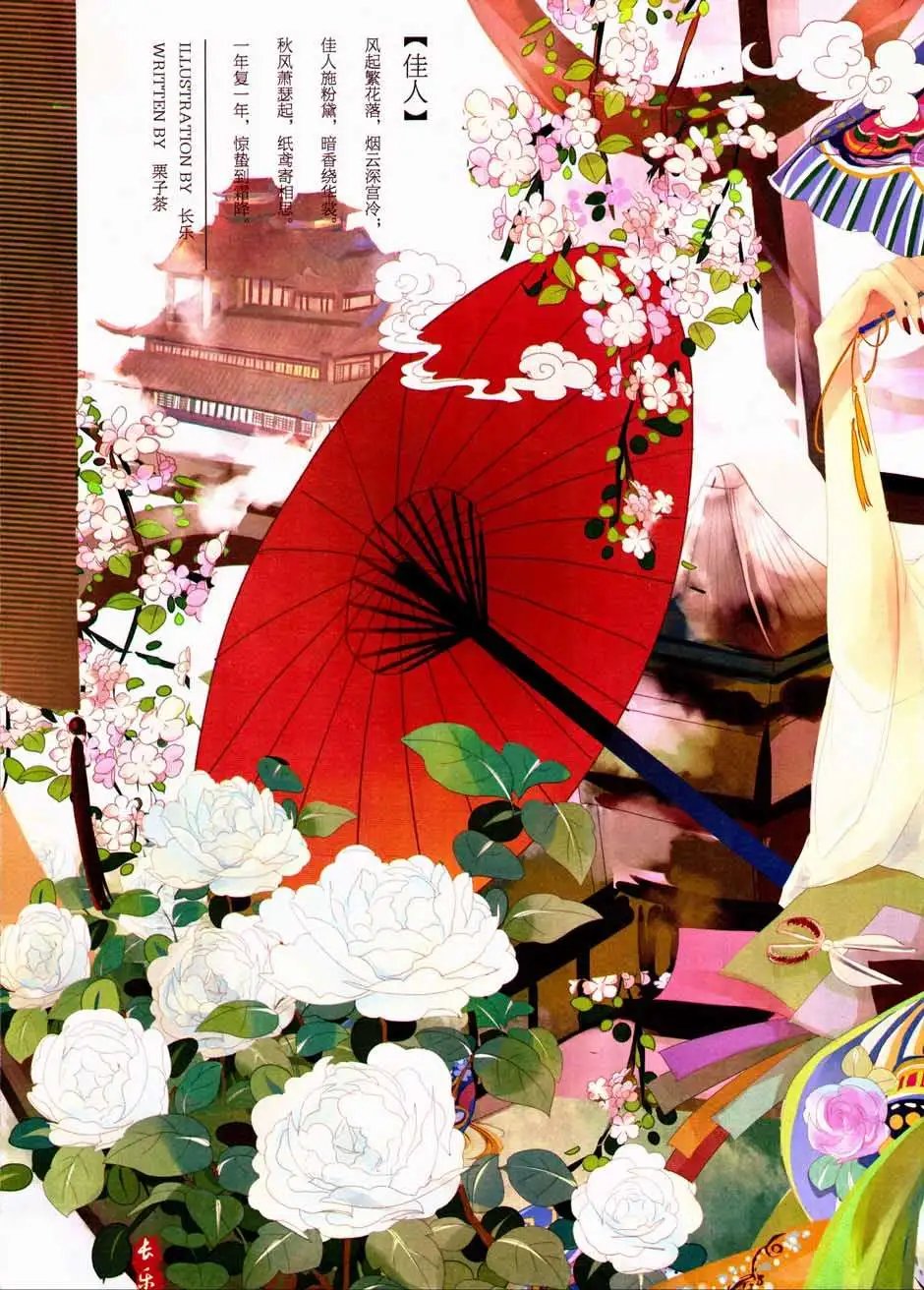 第333期