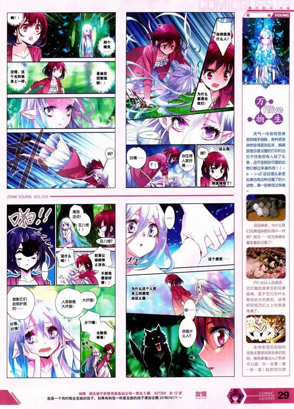 第333期