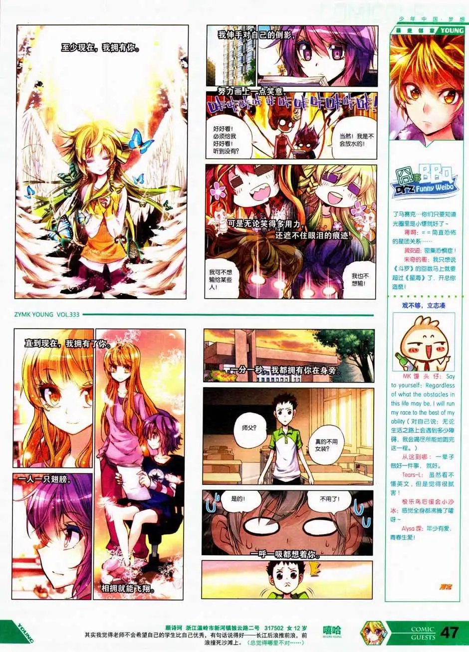 第333期