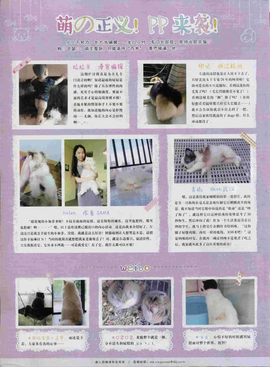 第374期