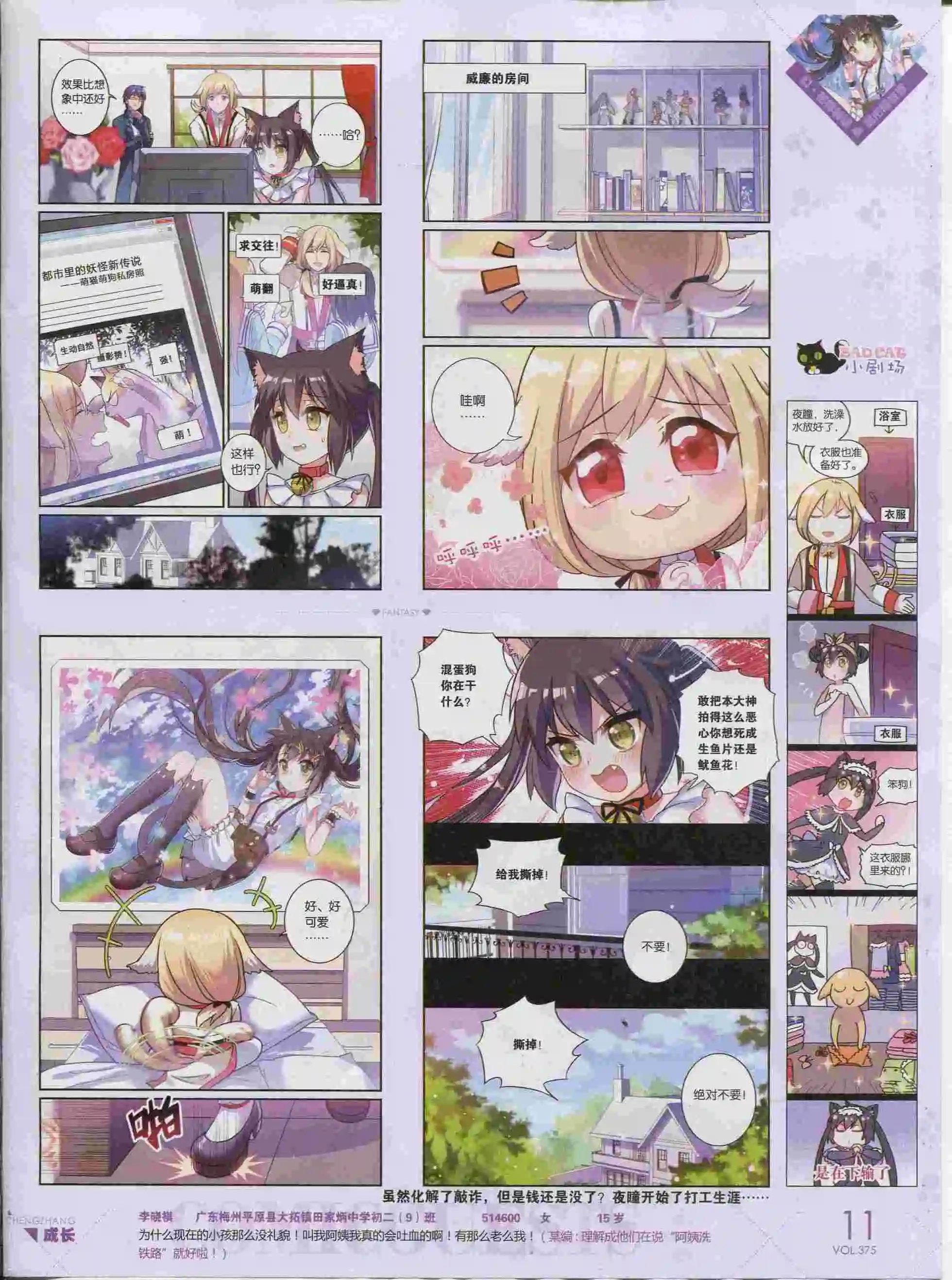 第375期