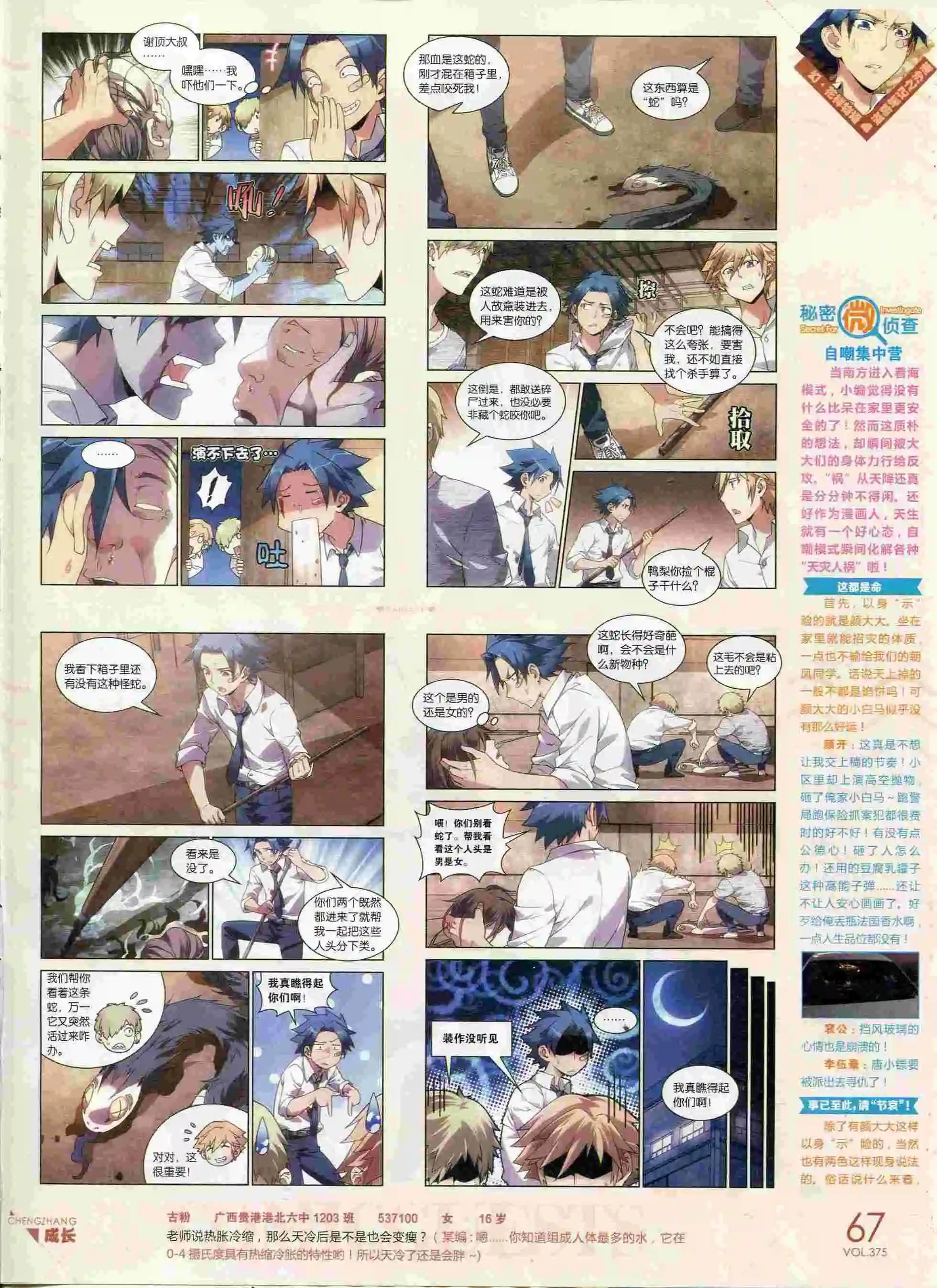 第375期