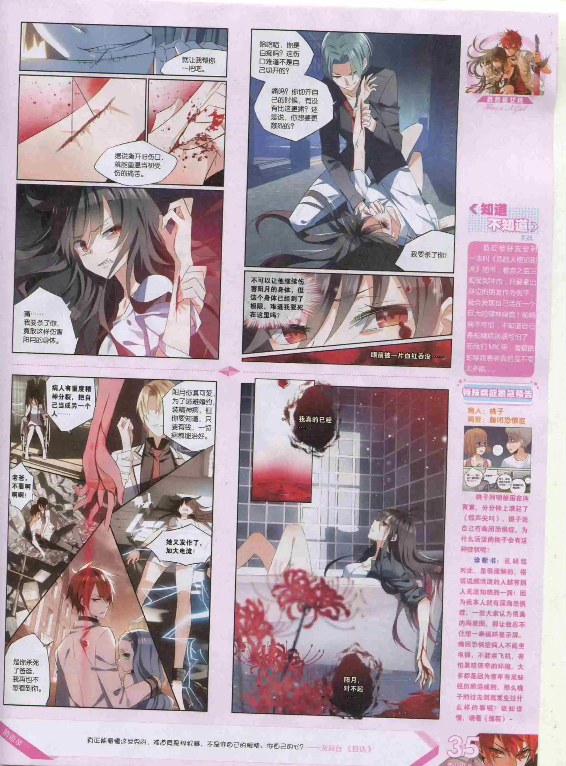 第384期