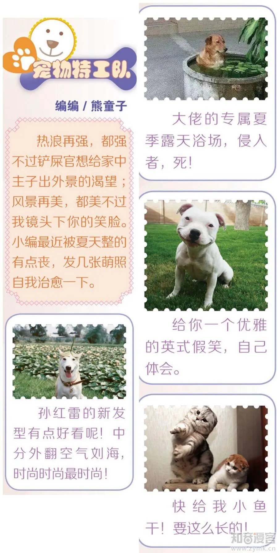 第472期