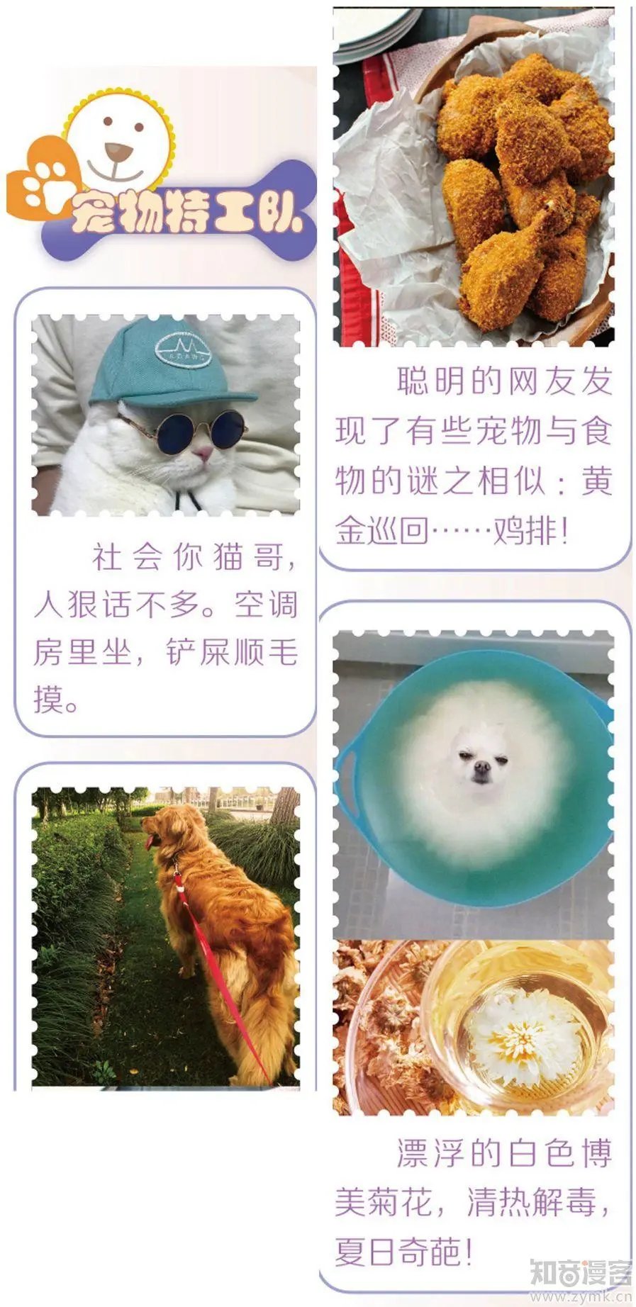 第472期