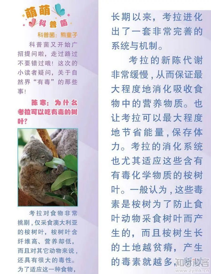 第472期