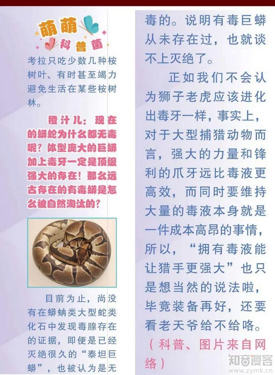 第472期