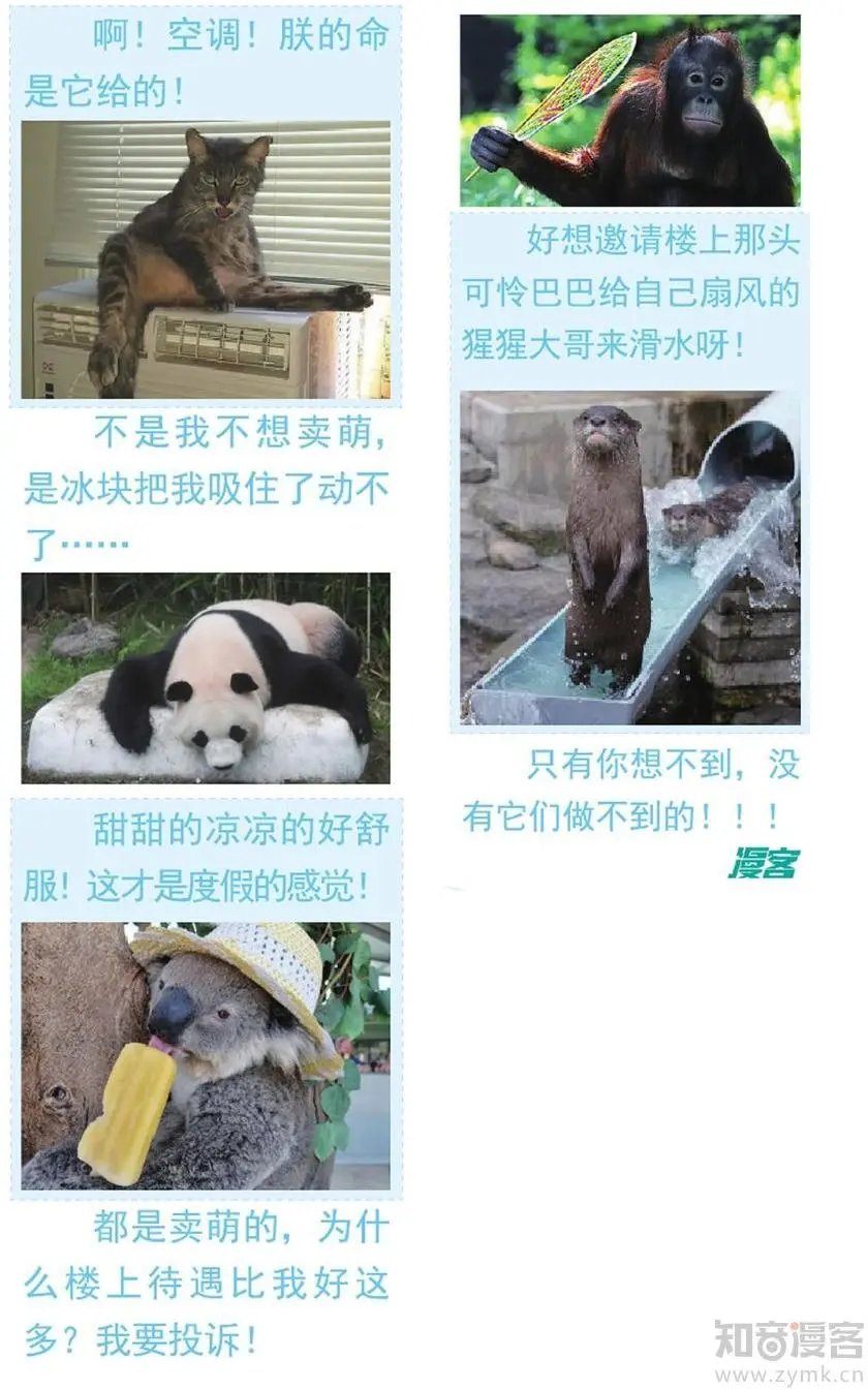 第475期