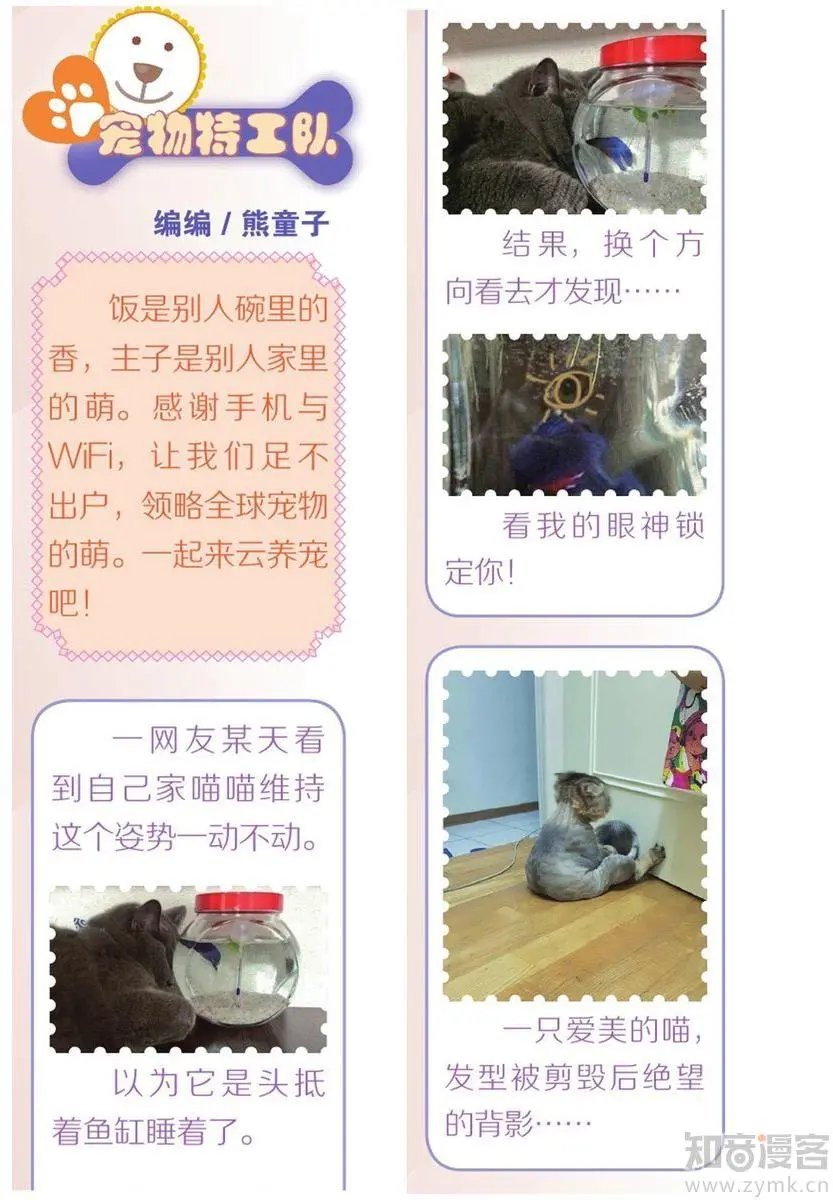 第476期