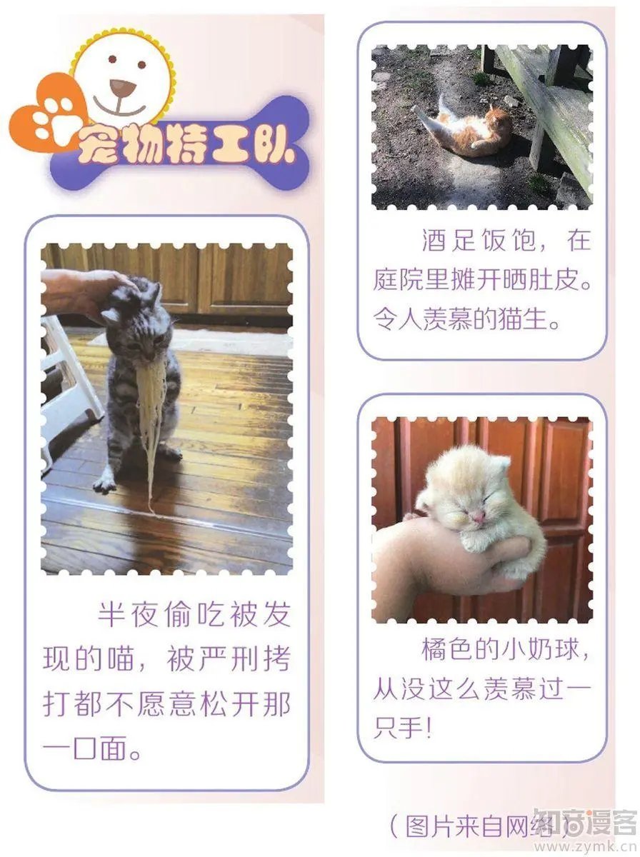 第476期