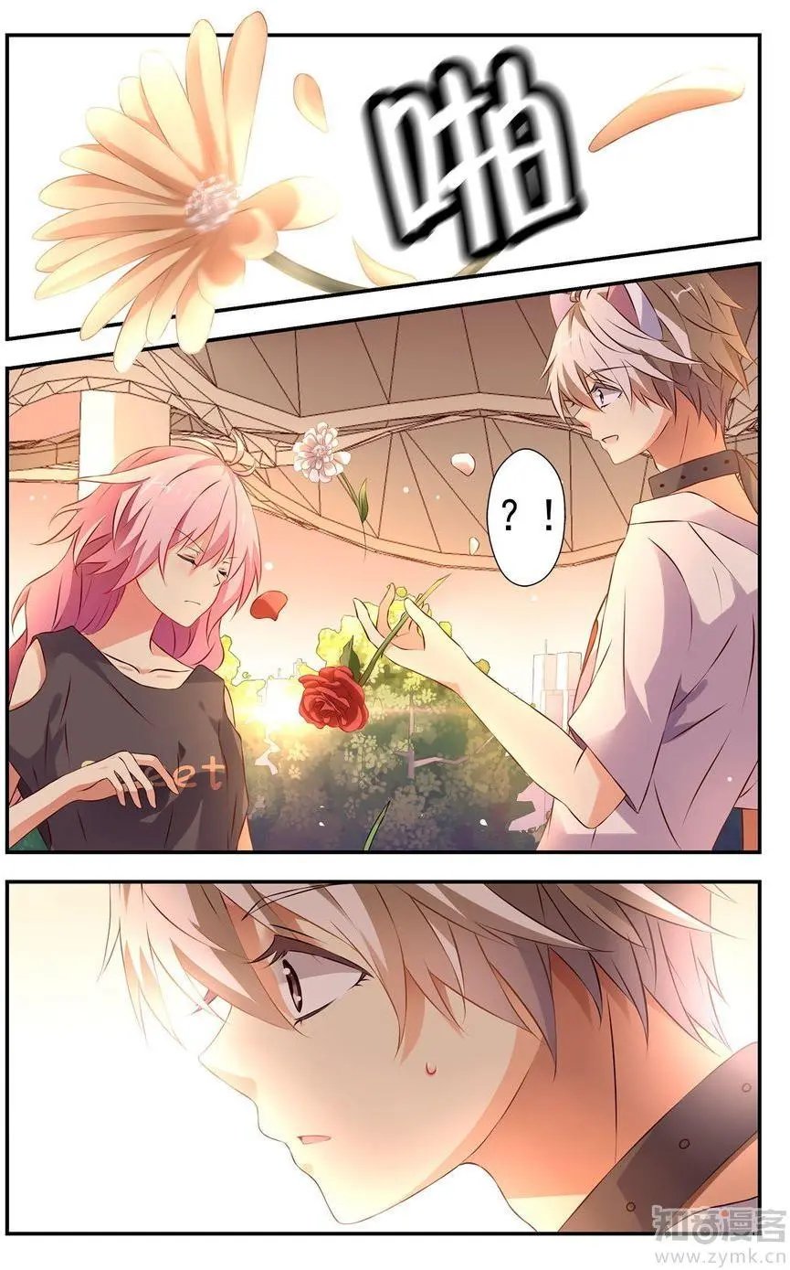 第476期