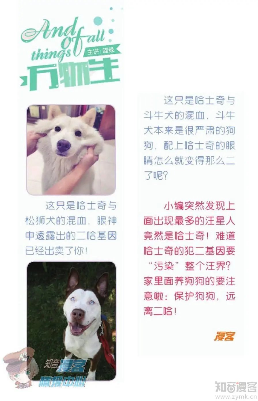 第477期