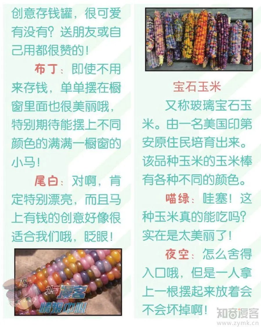 第477期