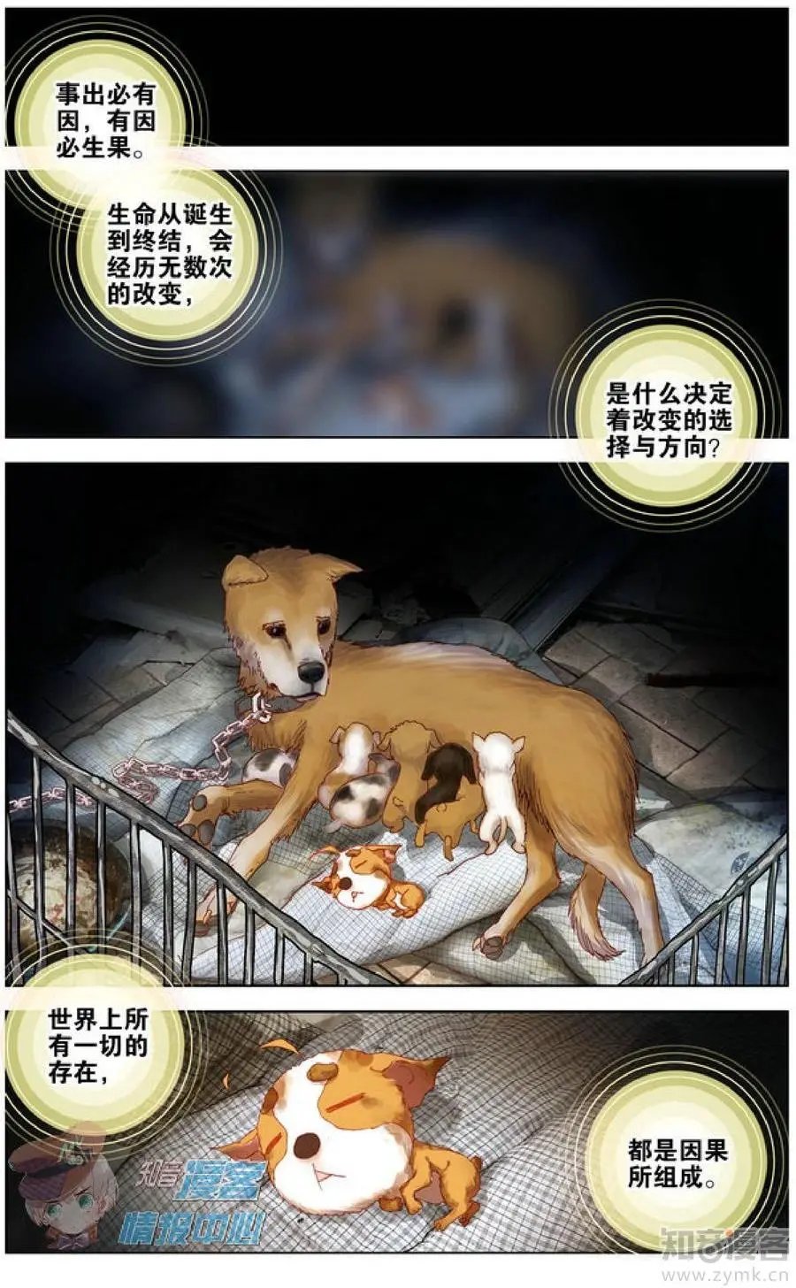 第478期