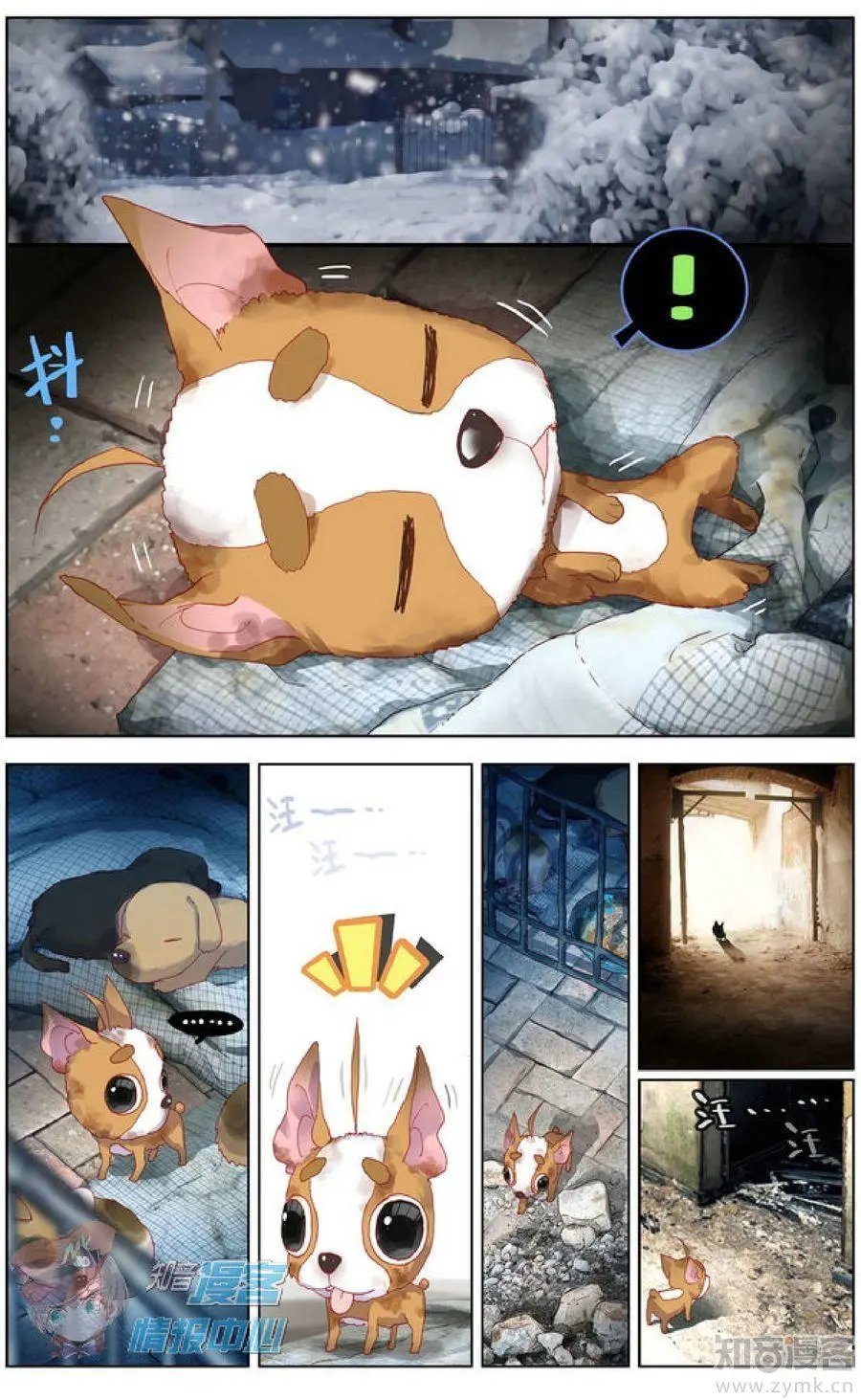 第478期