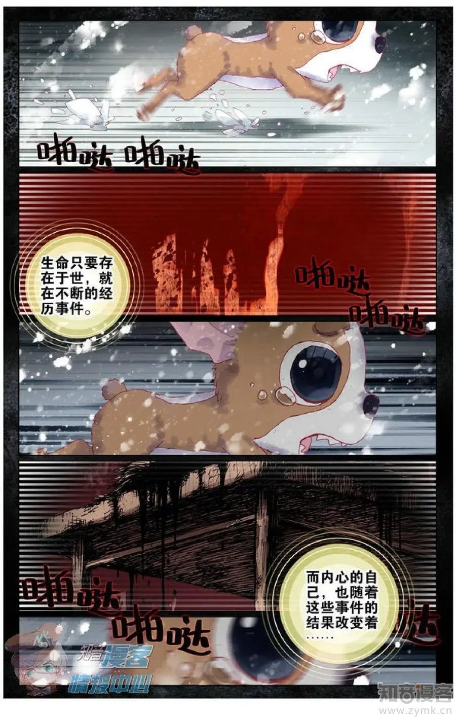 第478期