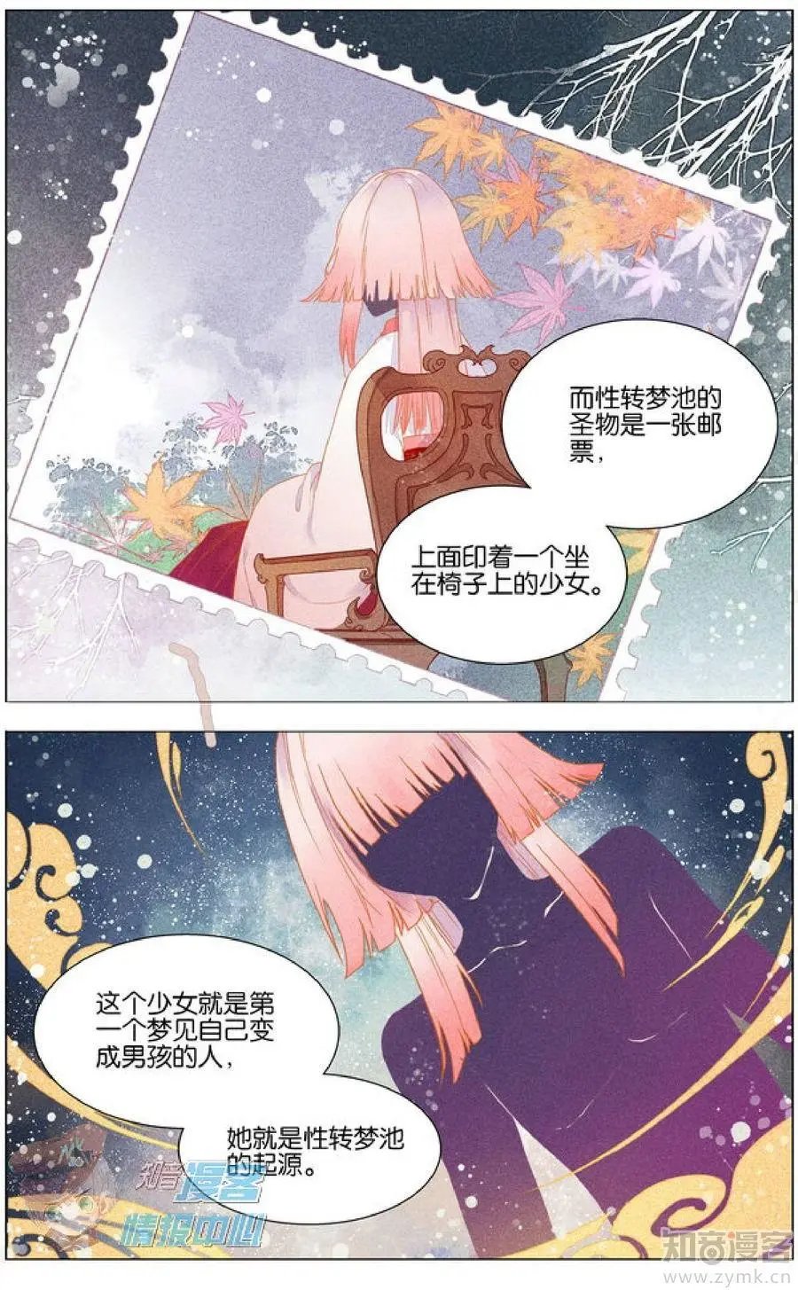 第478期