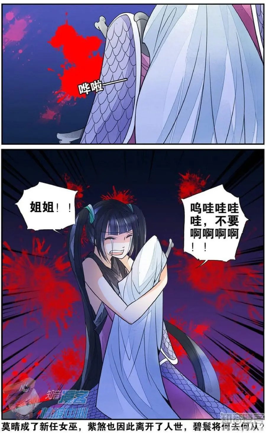 第478期