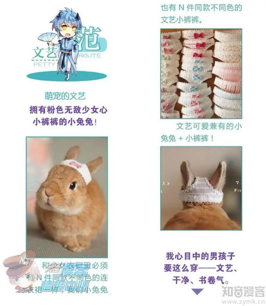 第479期