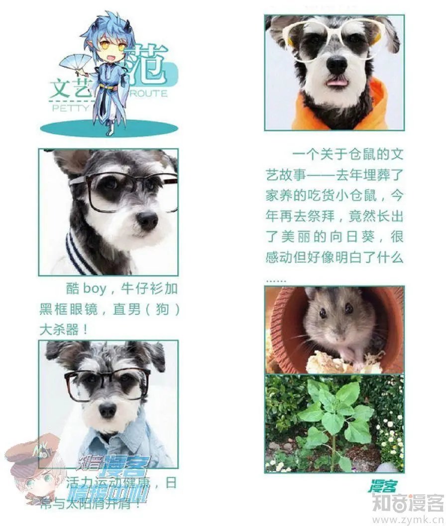 第479期