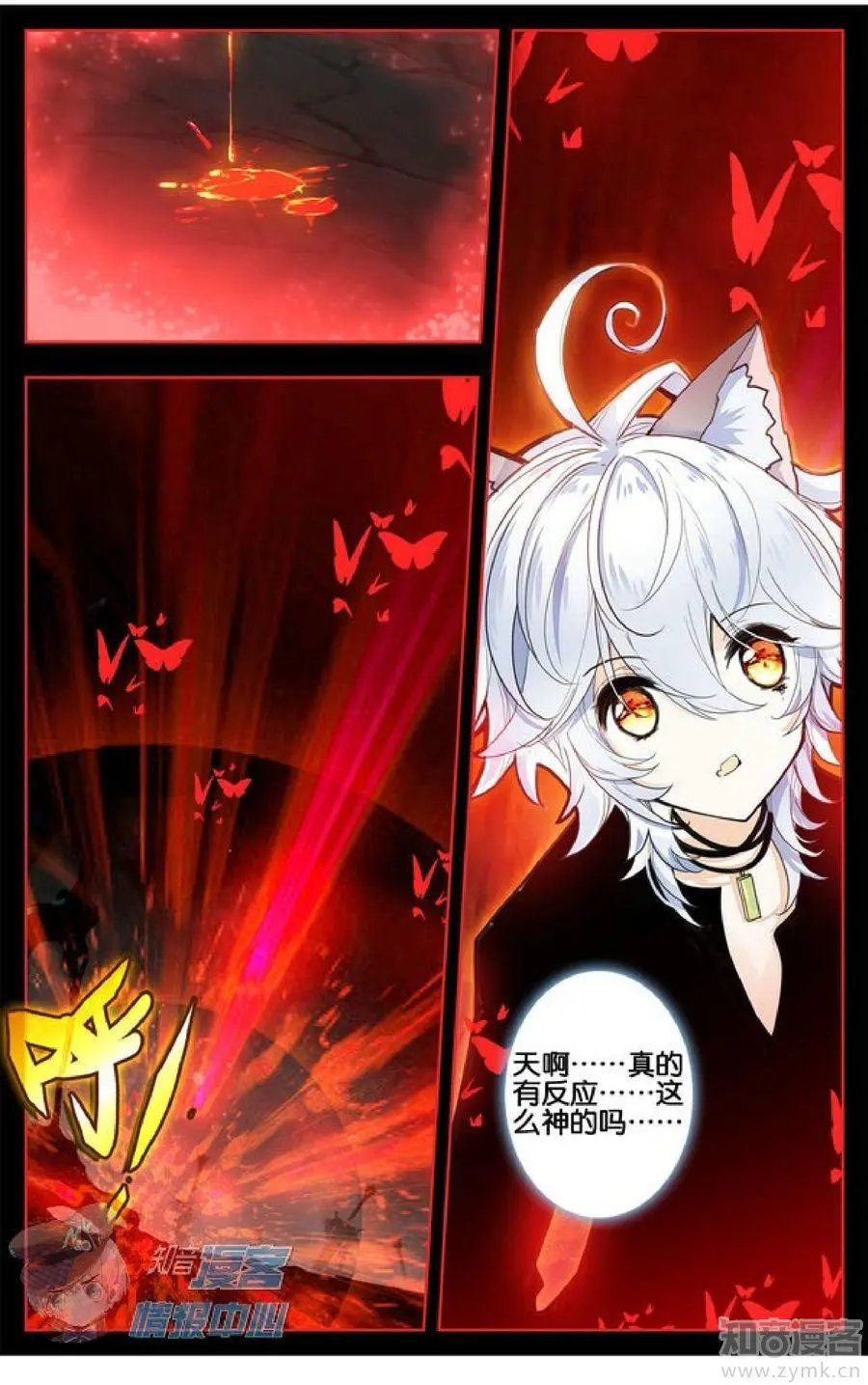 第479期