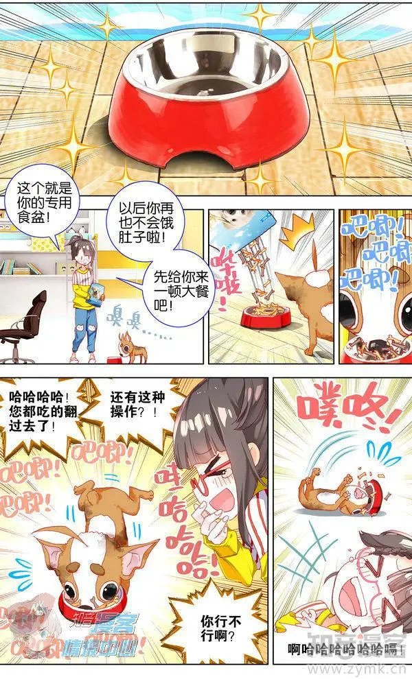 第480期