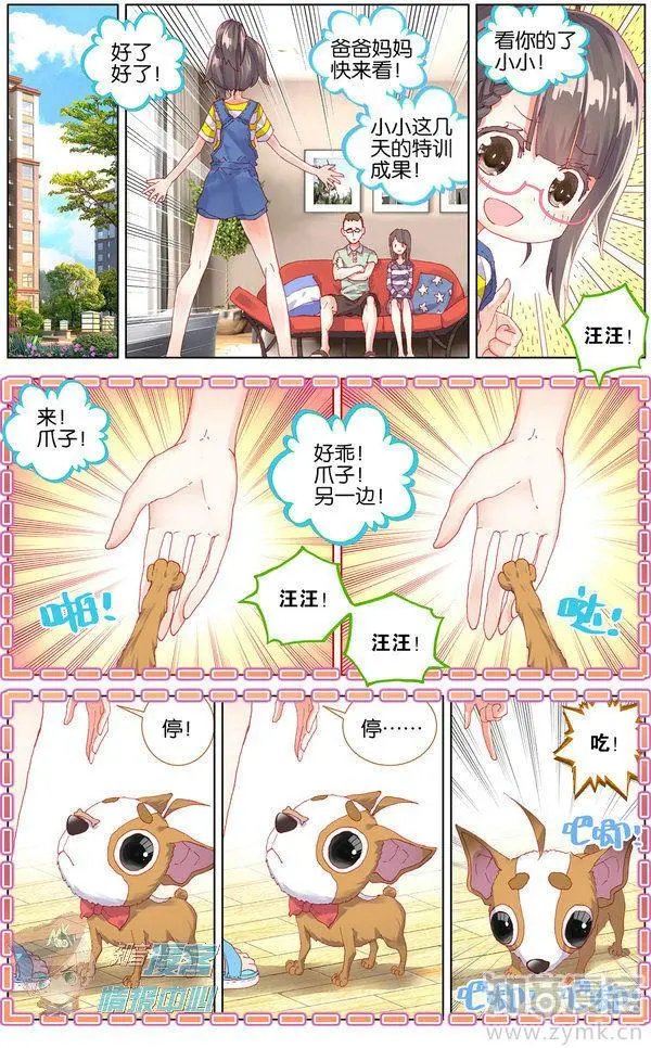 第480期