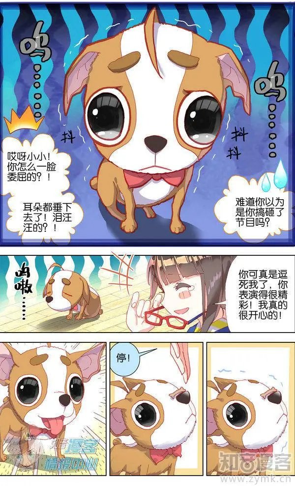 第480期