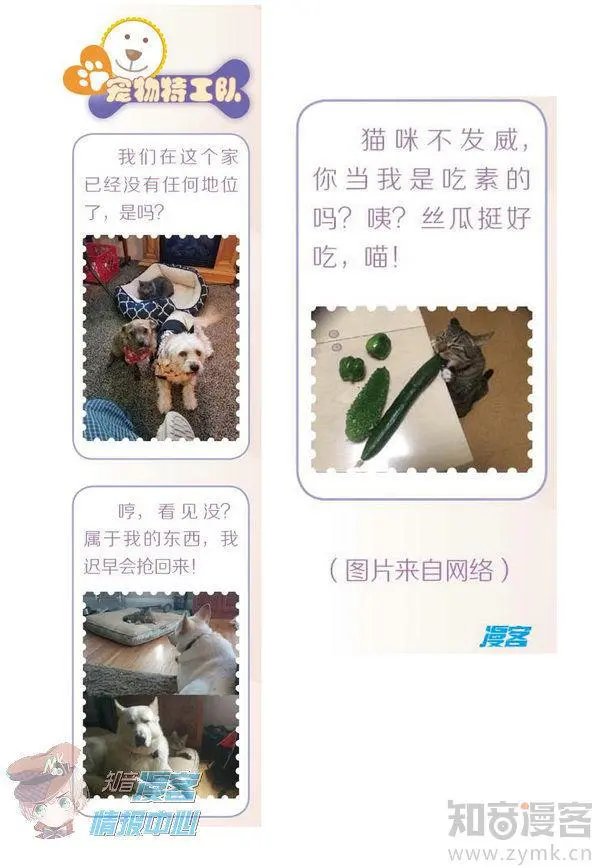 第480期