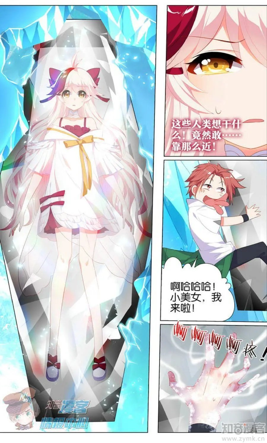 第481期