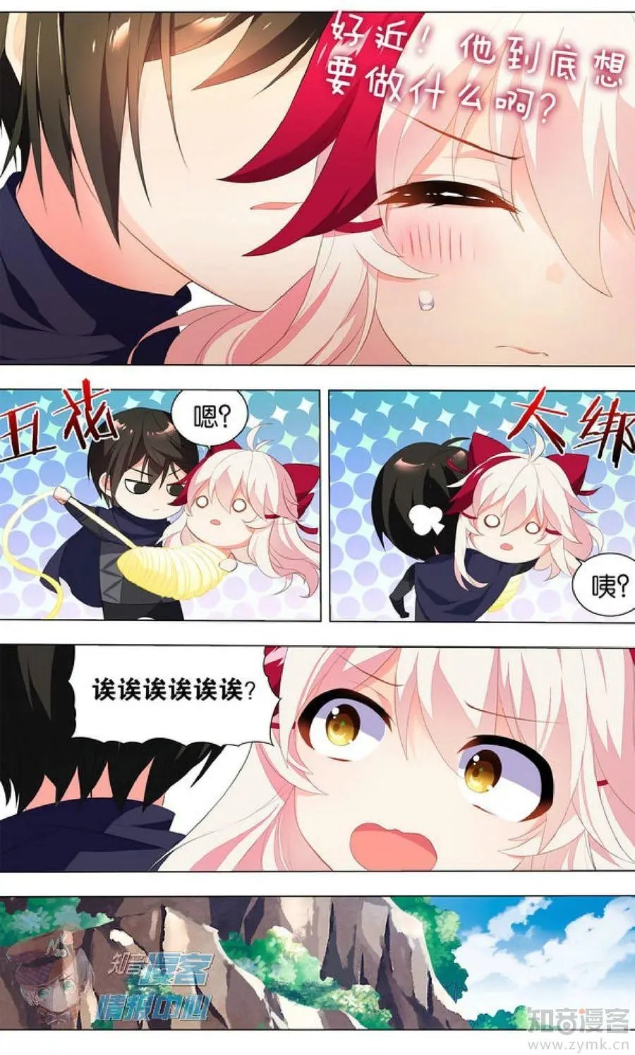 第481期