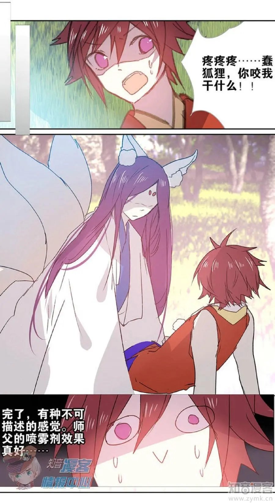 第481期