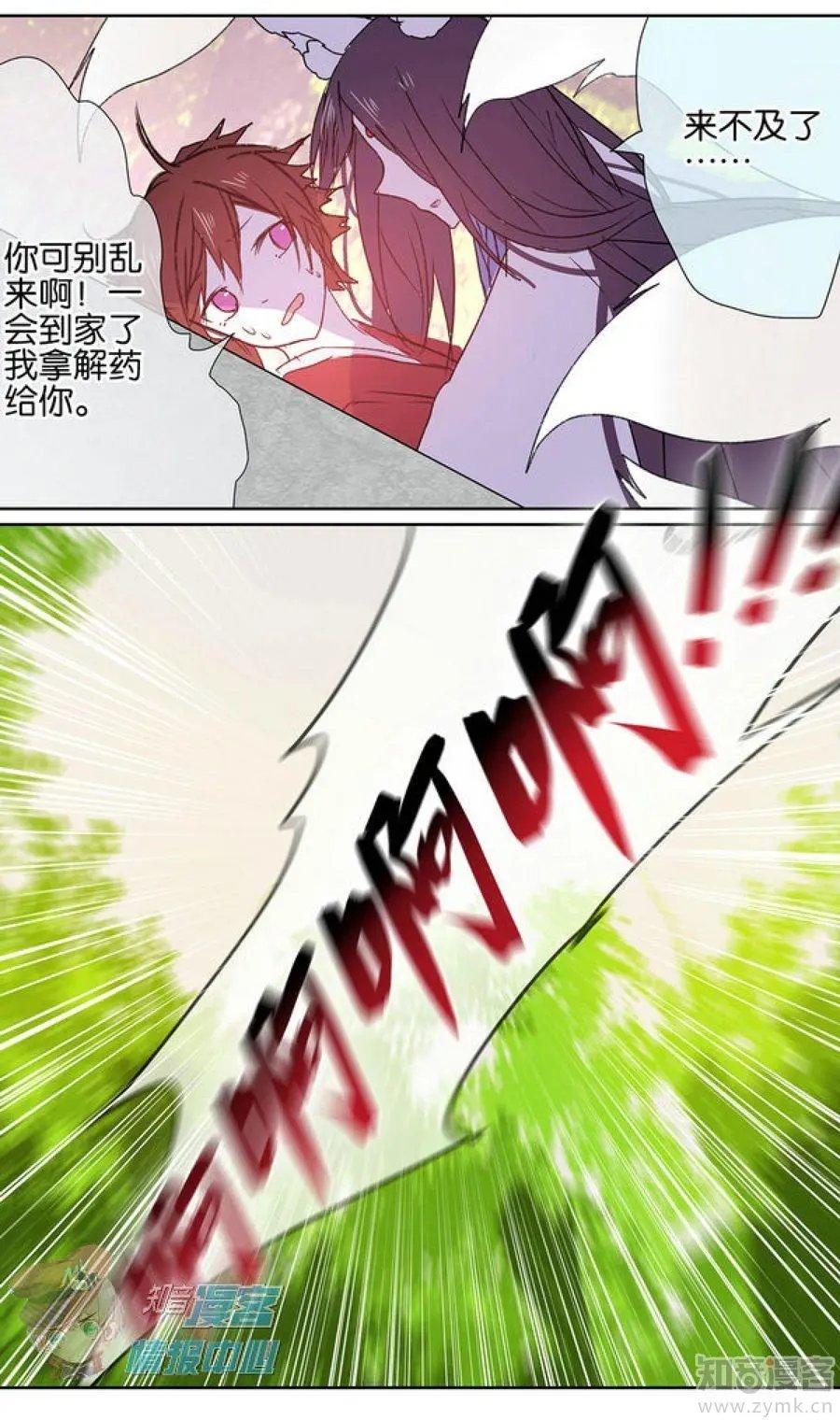 第481期