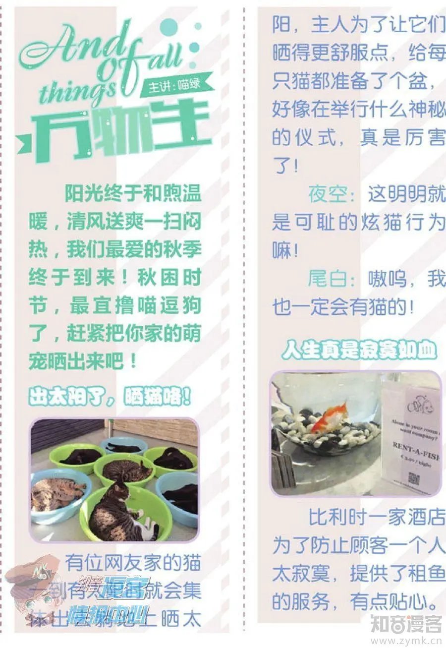 第481期