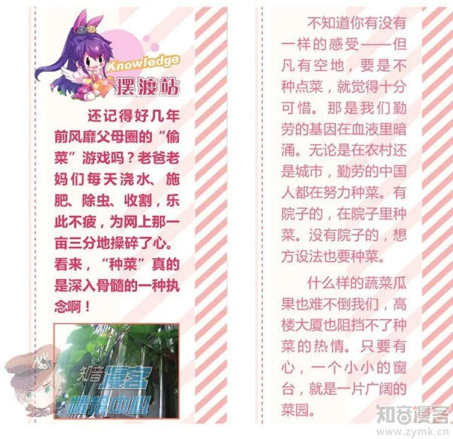 第481期