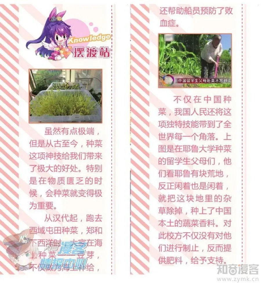 第481期