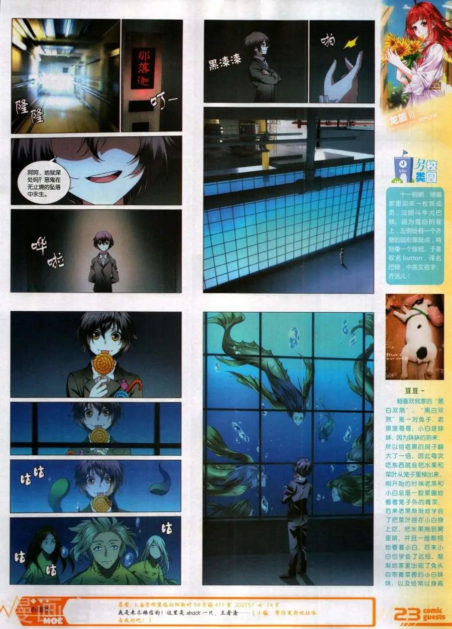第484期