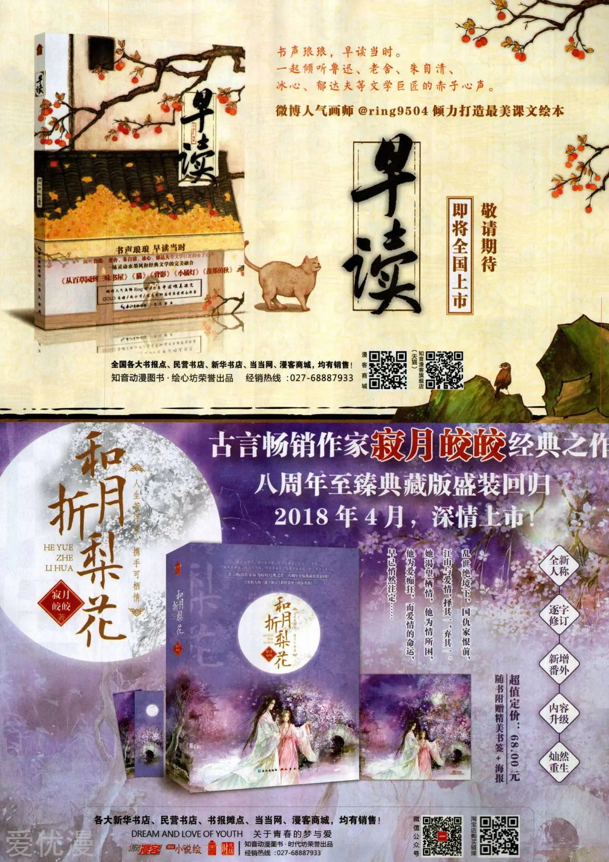 第504期
