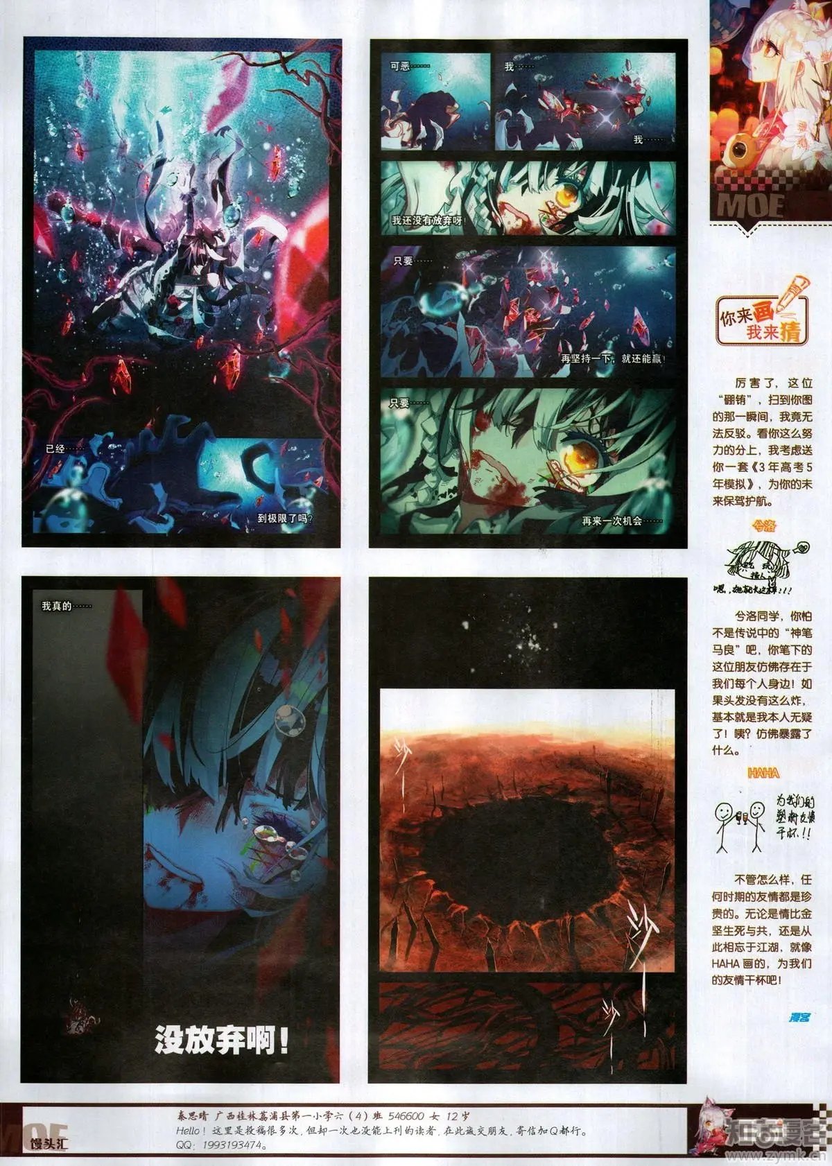 第504期