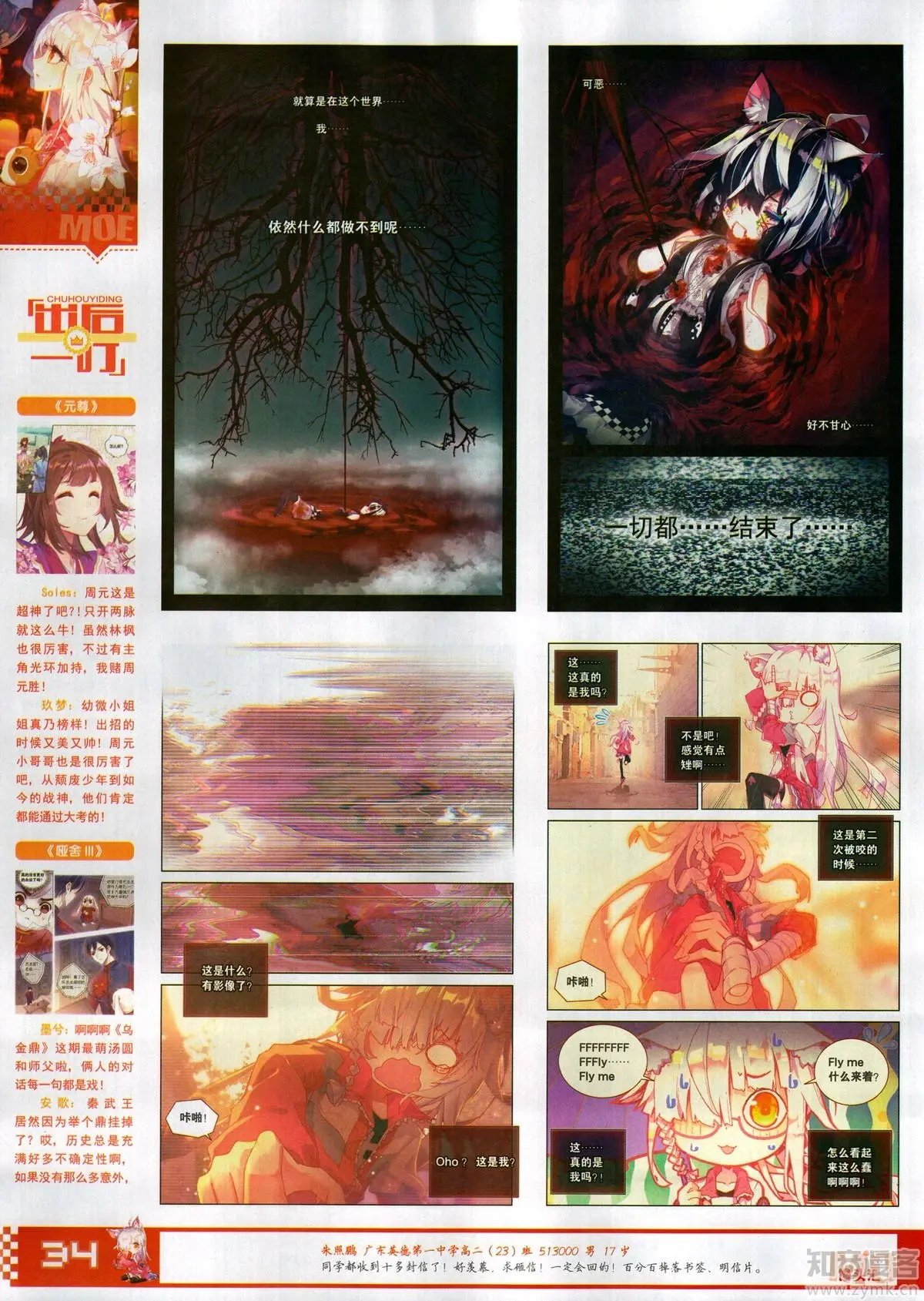 第504期
