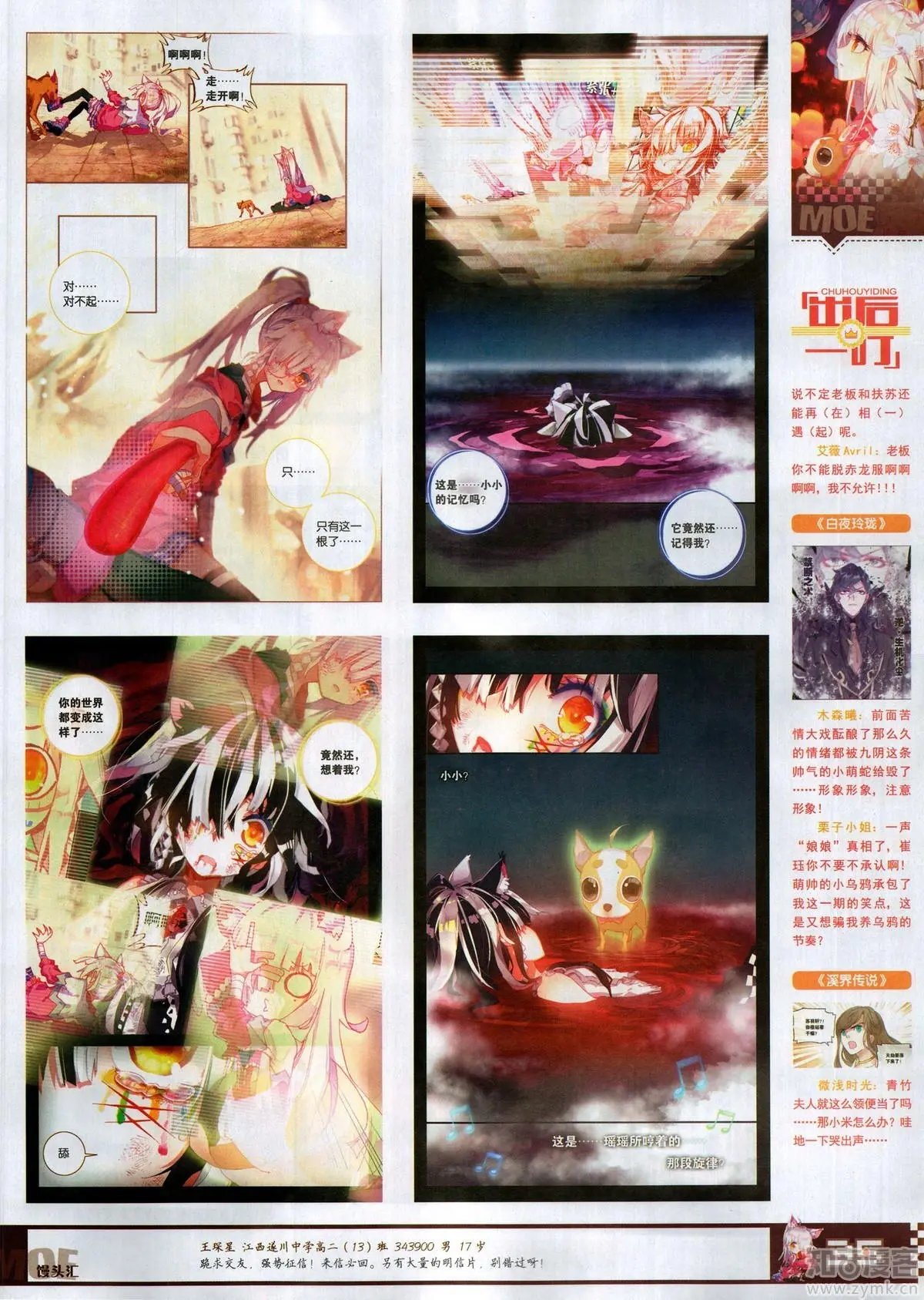 第504期