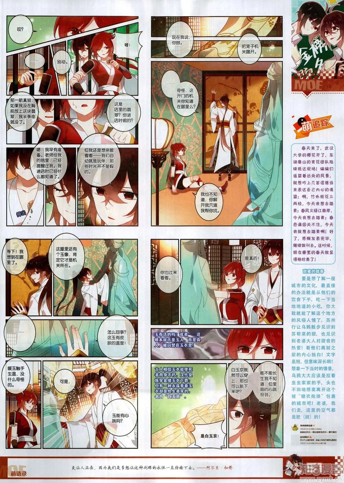 第504期