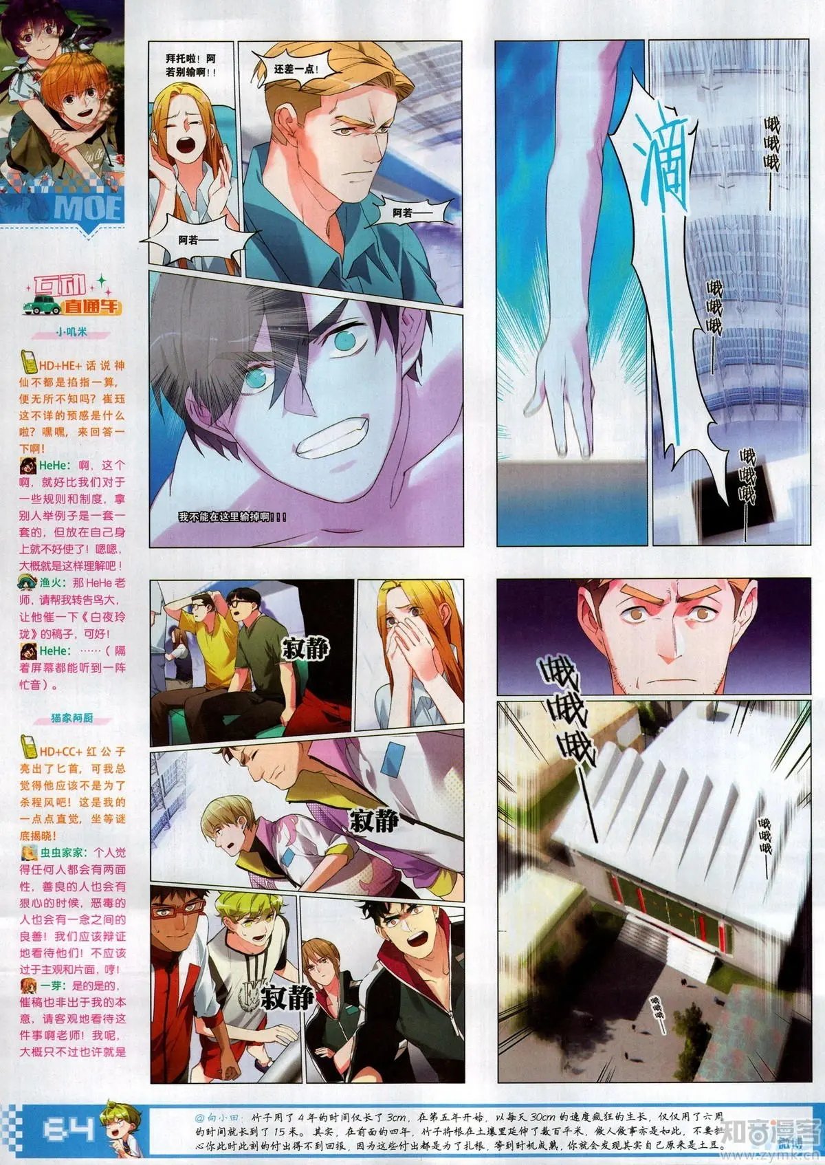 第504期